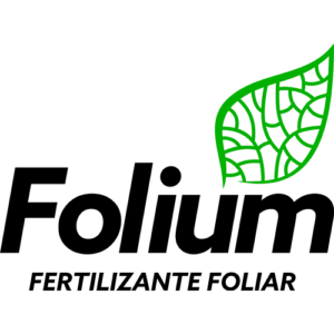 FOLIUM
