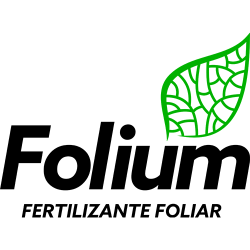 FOLIUM