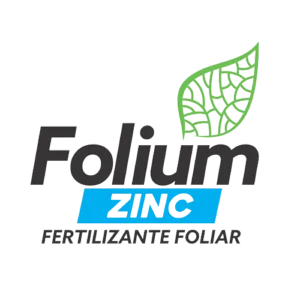 Folium Zinc