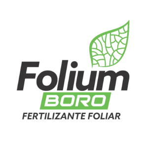 Folium Boro